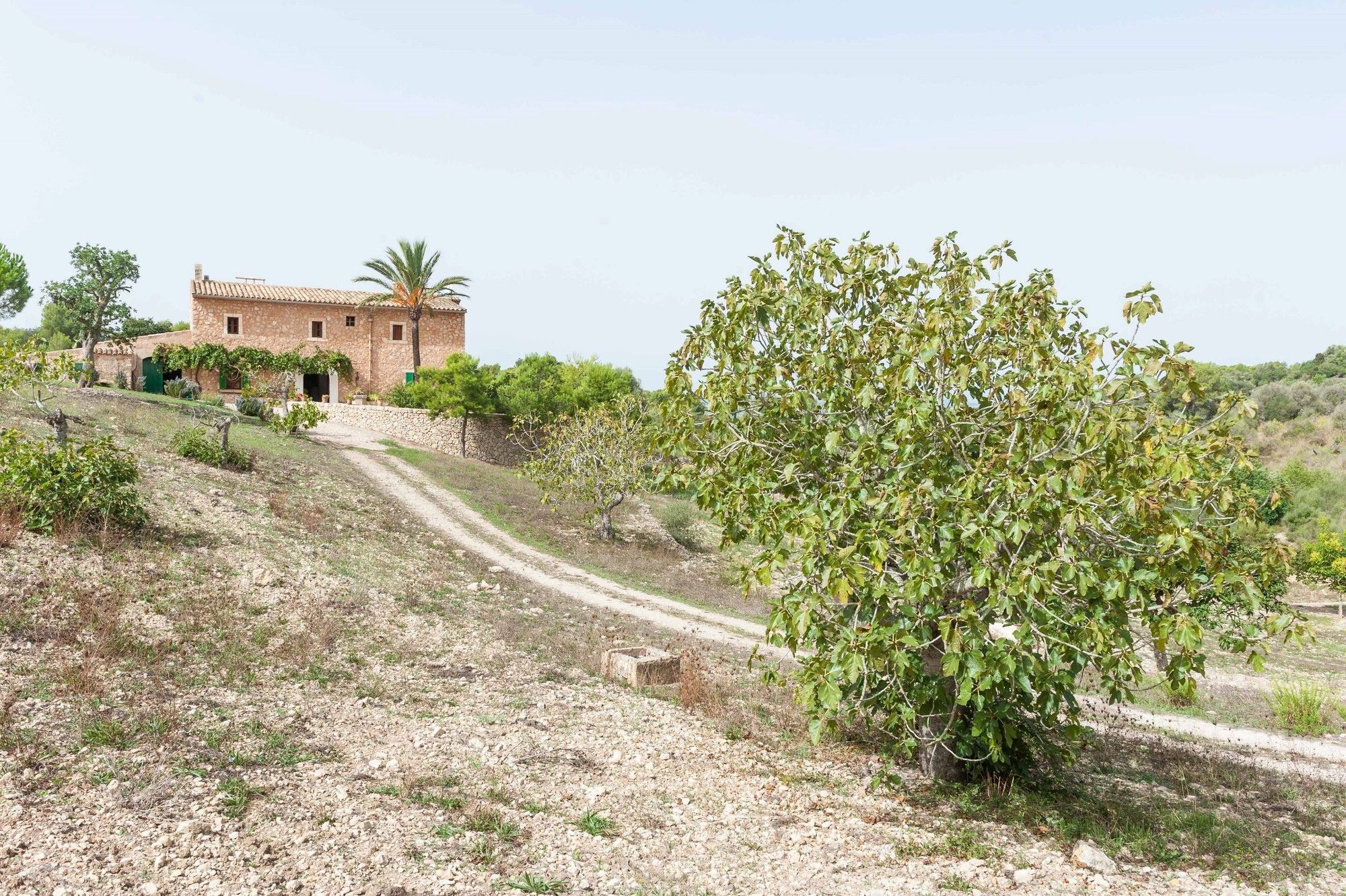 Hort De Sa Vall Villa Felanitx